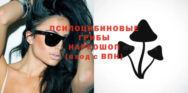 молекула духа Алексин