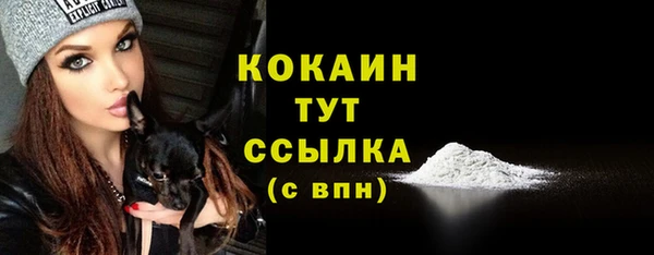 молекула духа Алексин